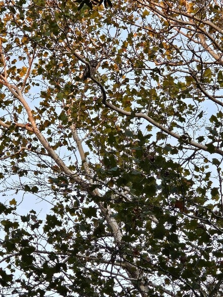 Building Photo - 1027 E Washington St