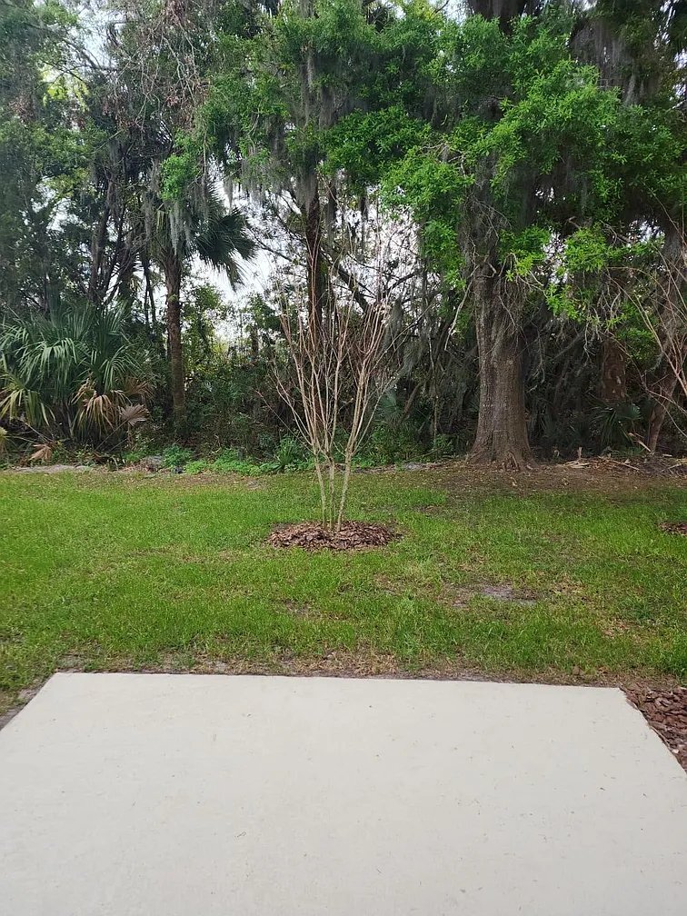 Building Photo - 2385 Carrabelle Wy