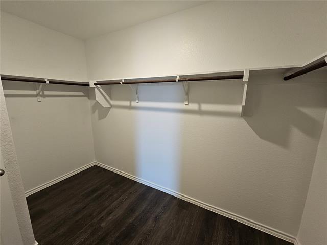 Building Photo - 2220 Rosemary Wy