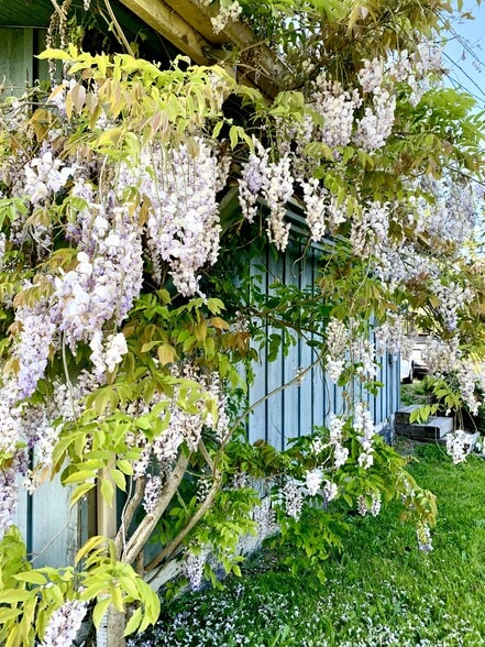 side of house - 1548 Panorama Dr