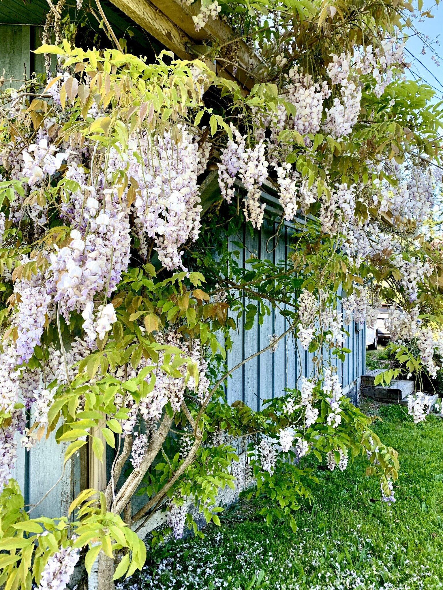side of house - 1548 Panorama Dr