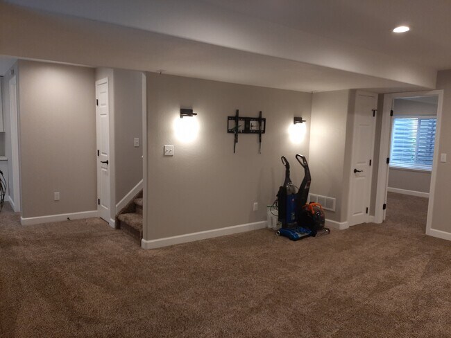 full basement - 14219 Woodrock Path
