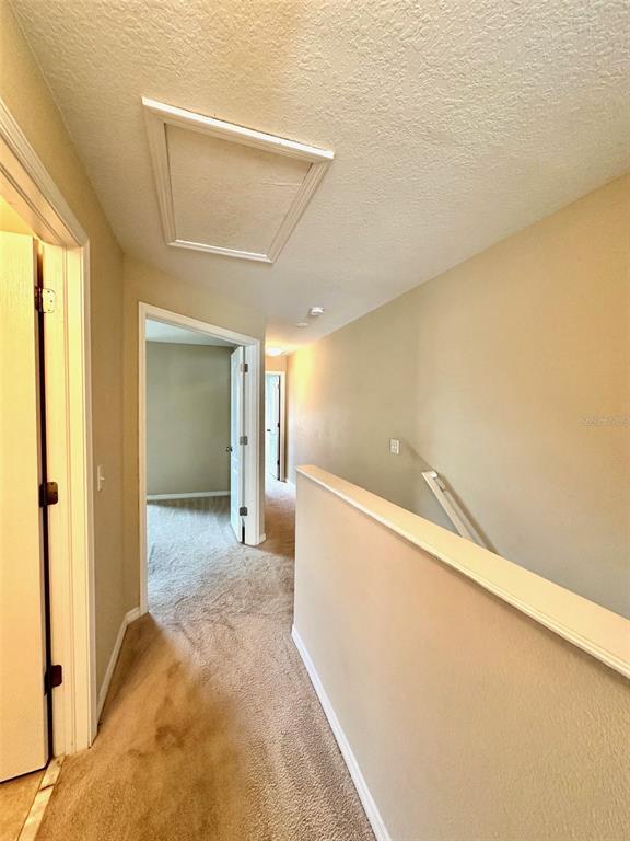 Building Photo - 4057 Winding Vine Dr
