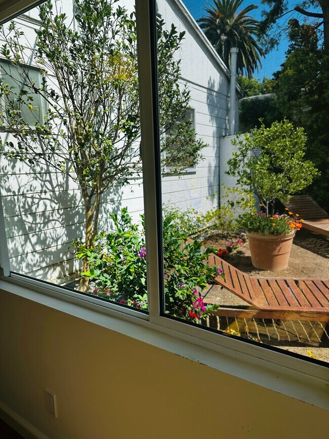 View into the magical garden from the sunroom. - 924 Nowita Pl