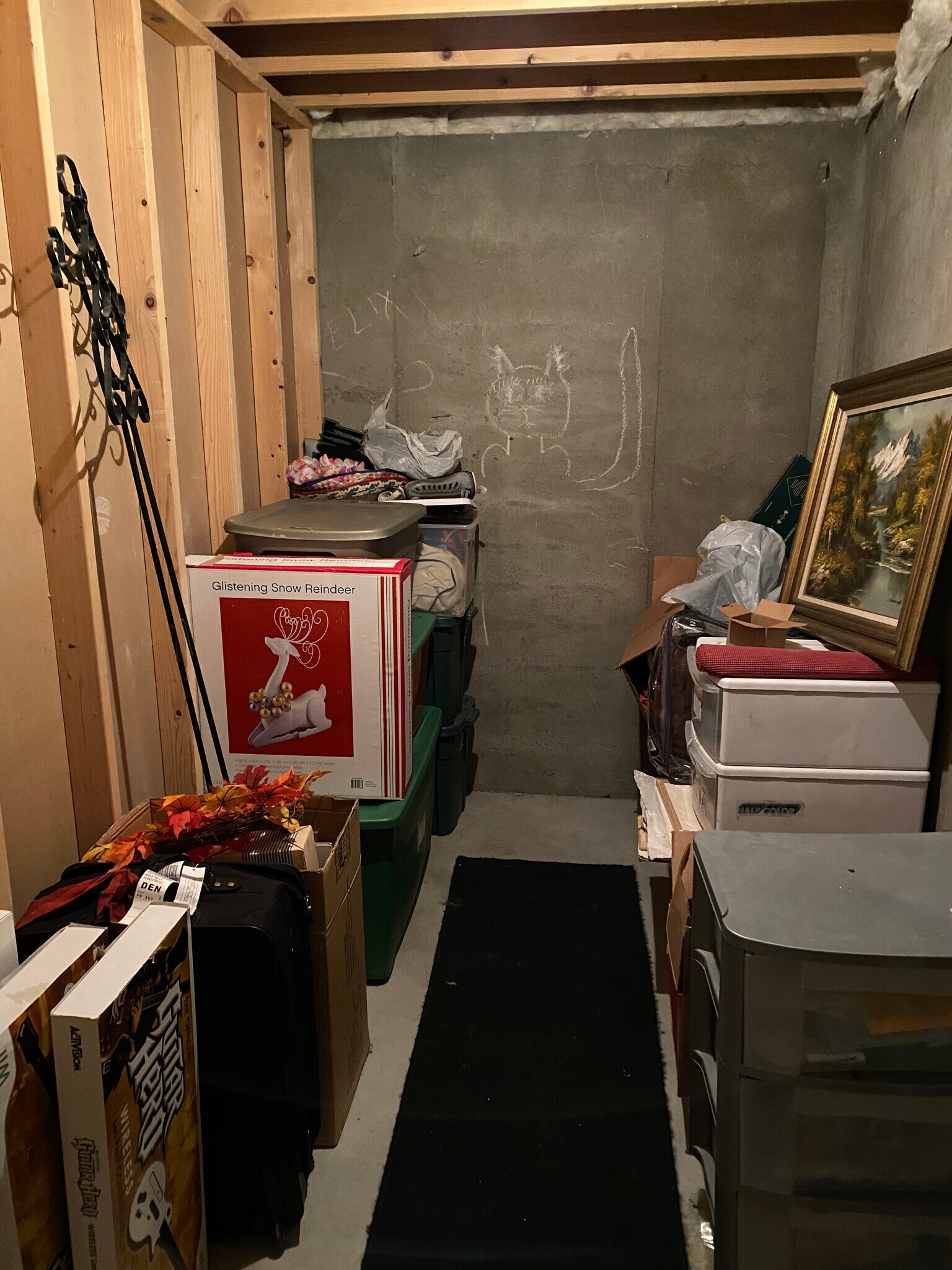 Basement Storage - 3761 Mt Flora St