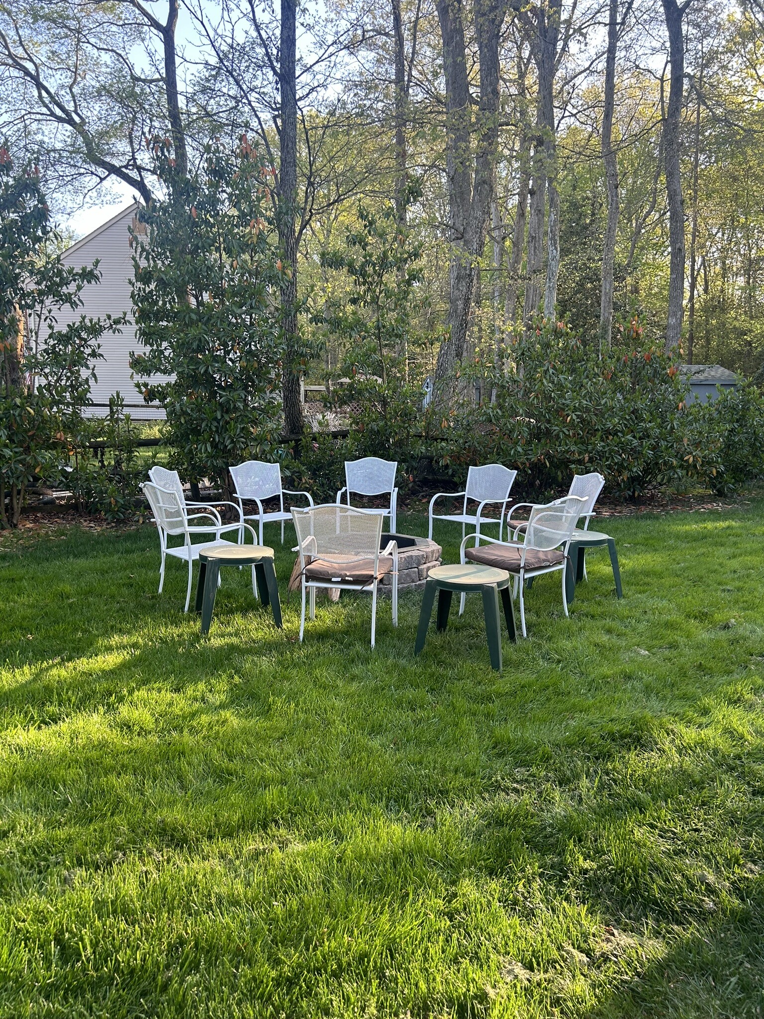 Backyard - 6610 Cottontail Ct