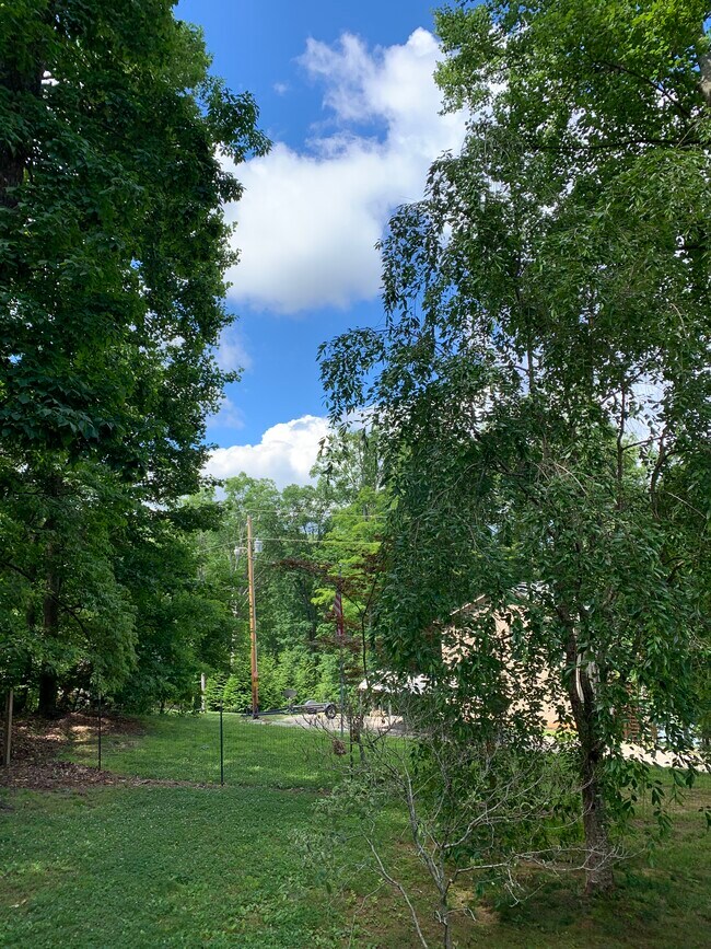 Spectacular view from from deck. - 247 Lakeview Ln