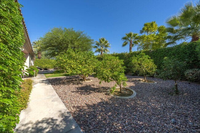 Building Photo - 79690 Rancho San Pascual