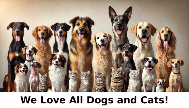 Building Photo - Admirals Apartments