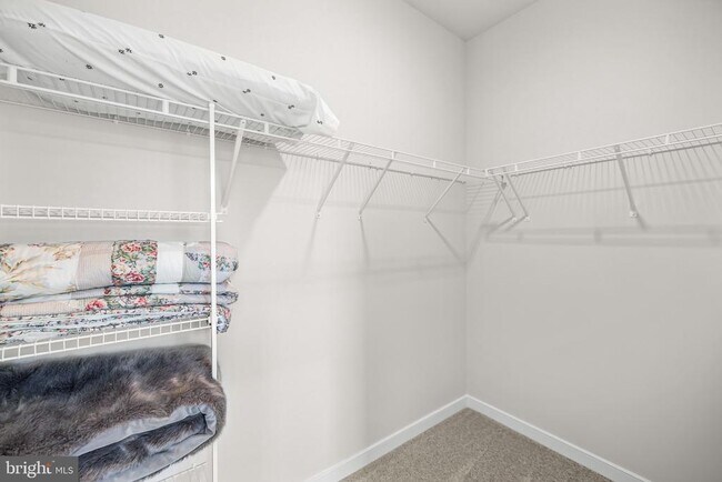 Building Photo - 6236 Folly Ln