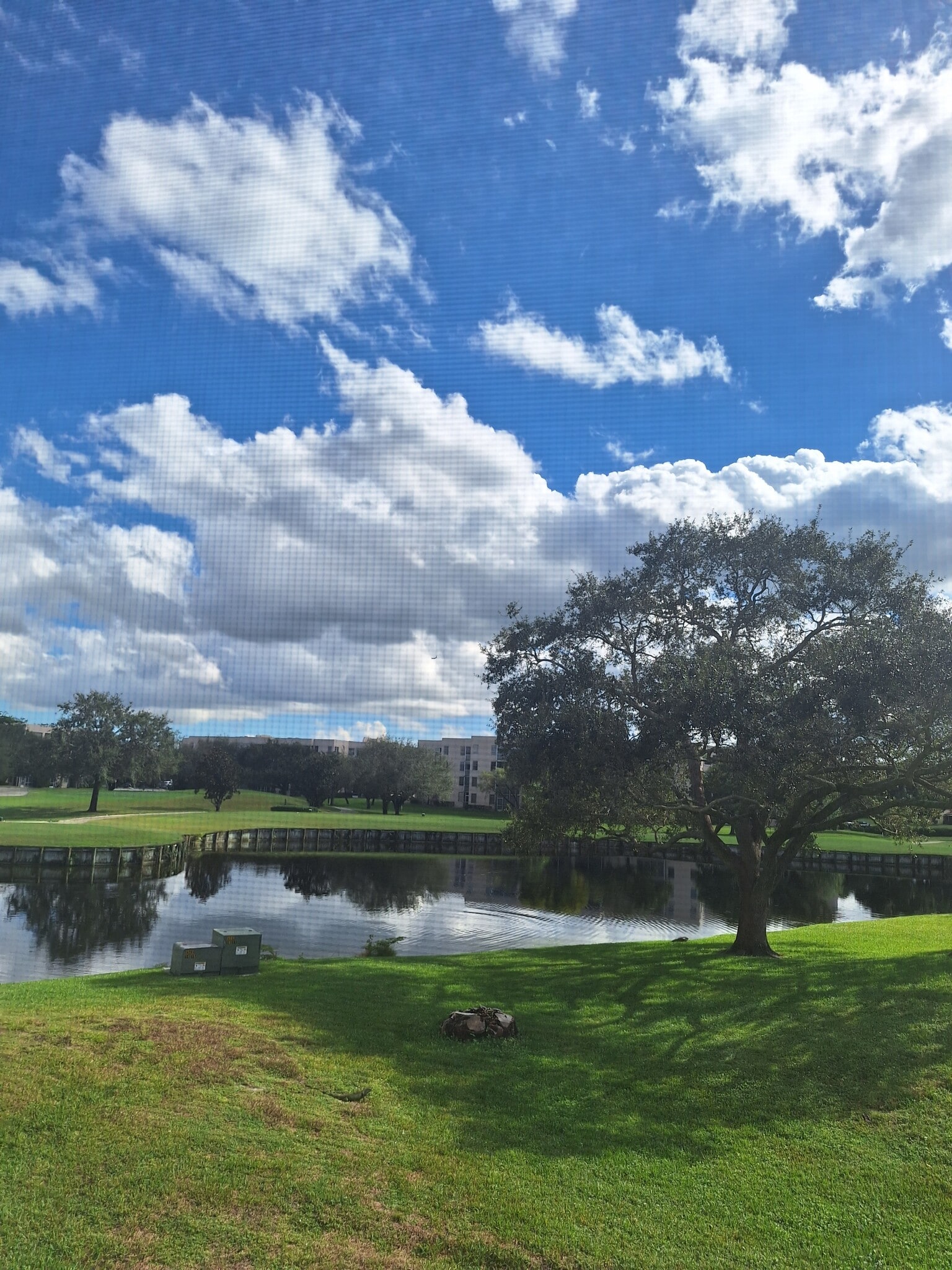 Building Photo - 9441 Live Oak Pl