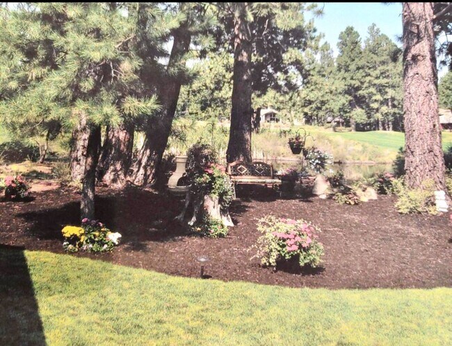 backyard - 60709 Golf Village Loop
