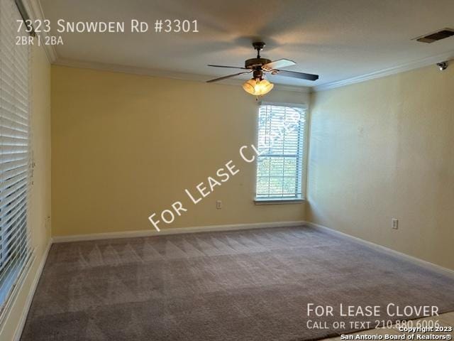 Building Photo - Snowden Heights Condo