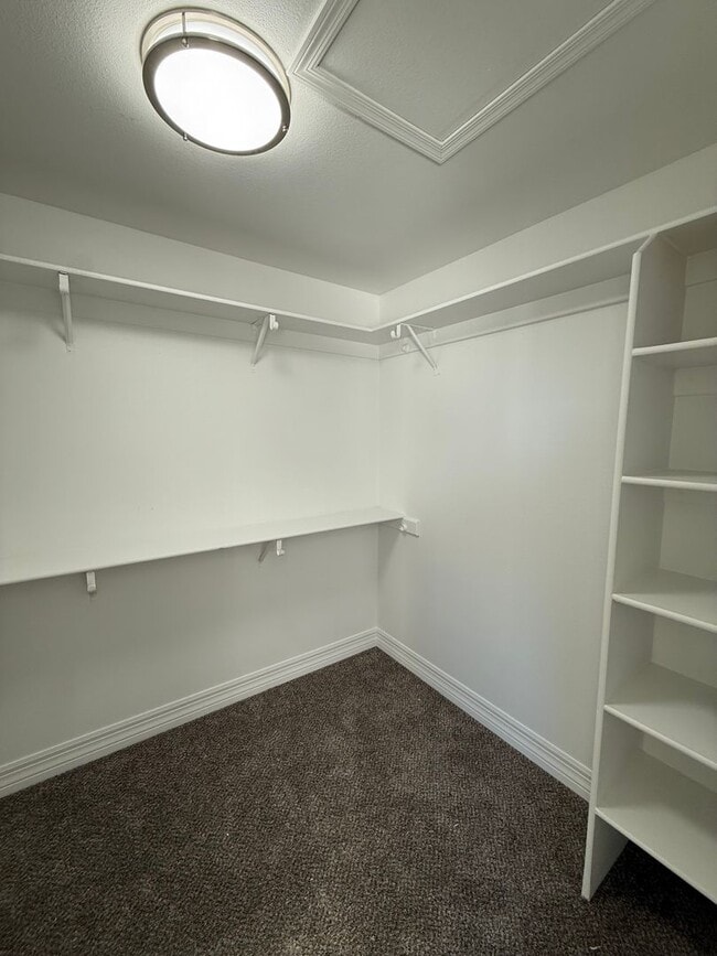 Building Photo - 4 BEDROOM IN RANCHO SERENO - FRESHLY REMODELED