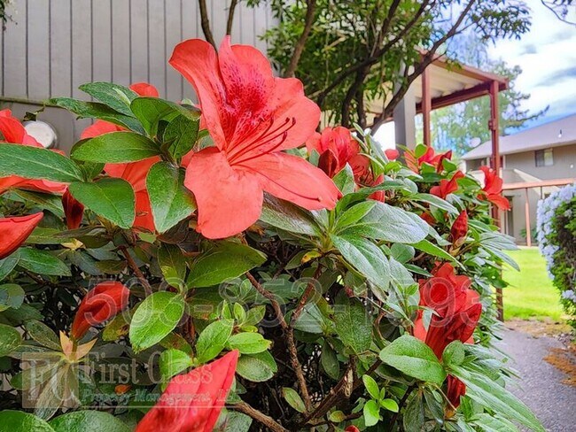 Building Photo - 4852 SW MURRAY Blvd