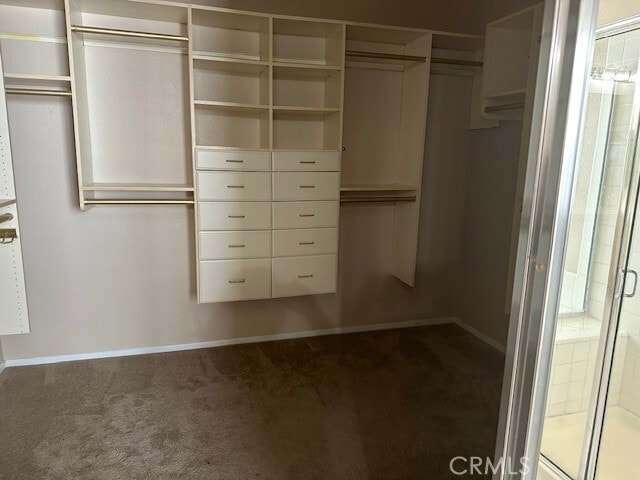 Building Photo - 29237 Sparkling Dr