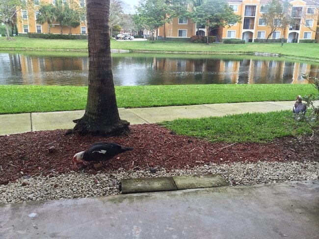 Building Photo - 2201 W Preserve Way