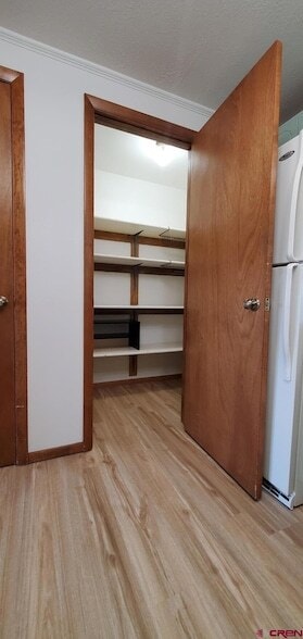 Building Photo - 2305 Pelota Dr