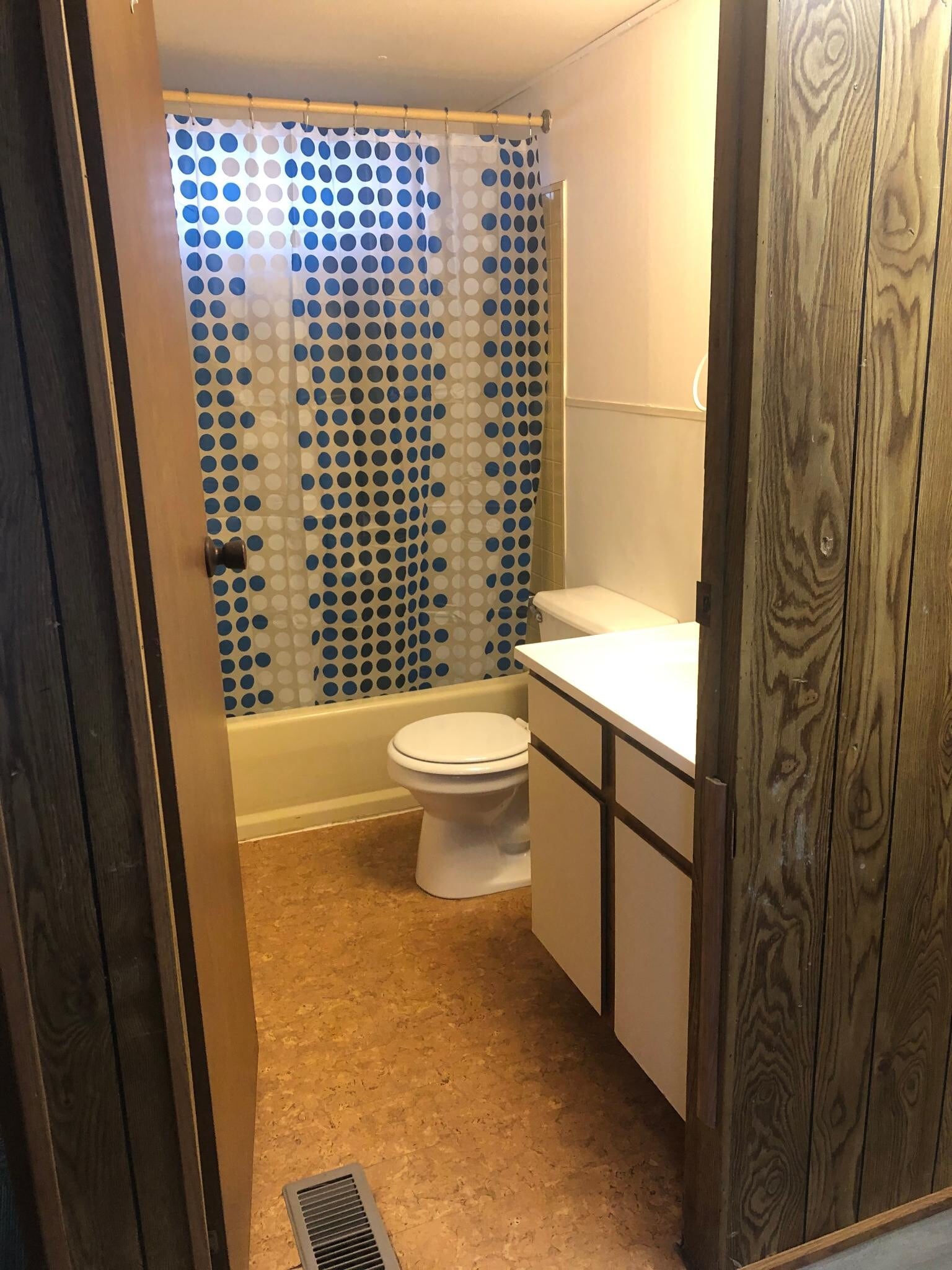 Hall bath - 310 W Johnson St