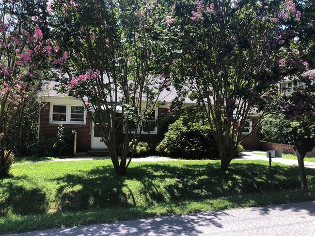 Building Photo - LOCATION! Close to Downtown Black Mountain