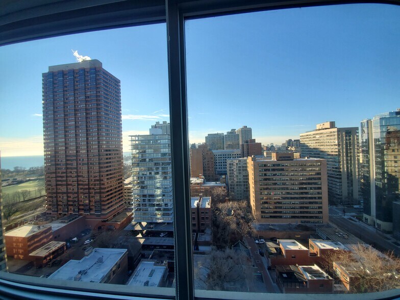 Skyline and Lake View - 336 W Wellington Ave