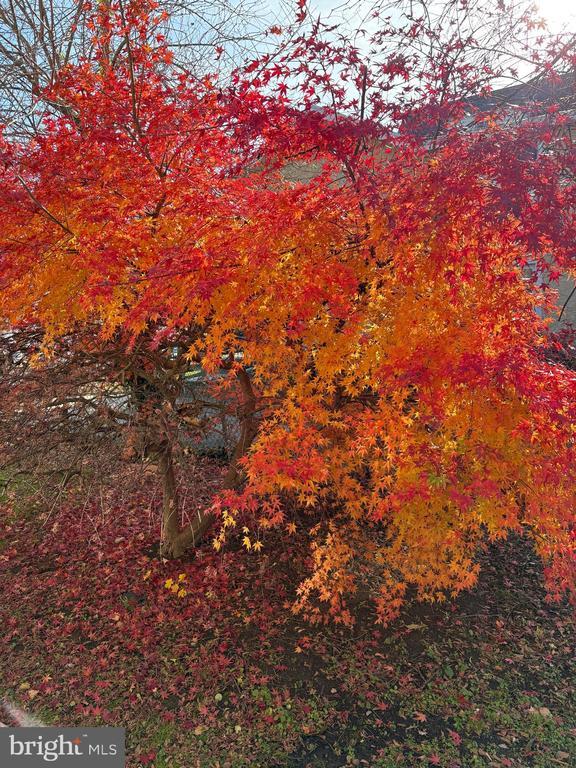 Building Photo - 7330 Sycamore Ave