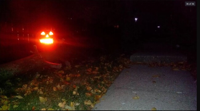 Halloween decoration - 111 41st St