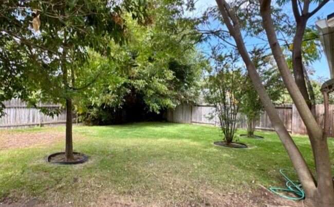 Building Photo - Cute As A Bug 2/1 Tahoe Park Gem!  Please read entire ad for viewings.