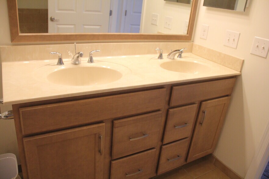 Master bathroom view 2 - 115 Deacon Shattuck Way