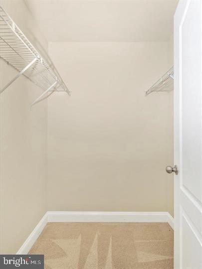 Building Photo - 12712 Horseshoe Bend Cir