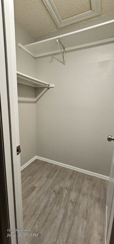 Building Photo - 4953 Wineskin Cir