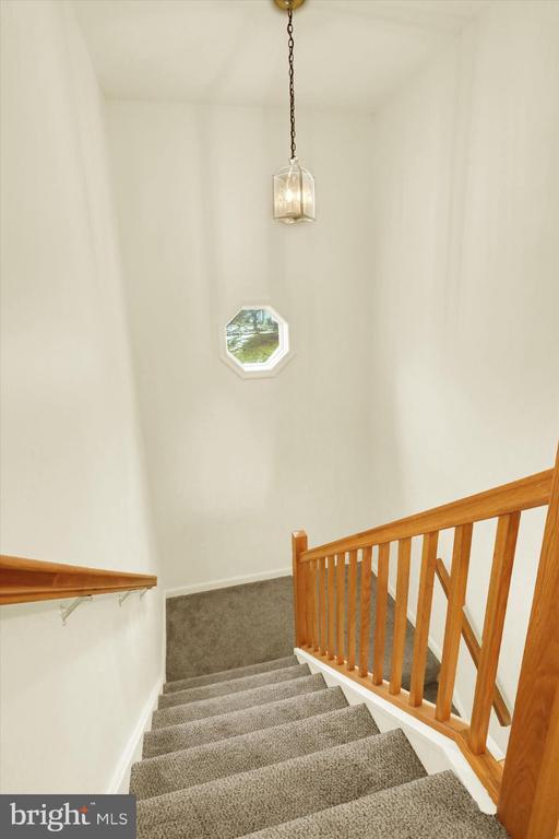 Building Photo - 903 Cambridge Ct