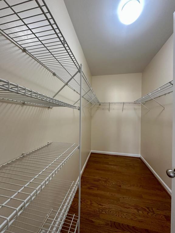 Building Photo - 2415 Impatien Drive