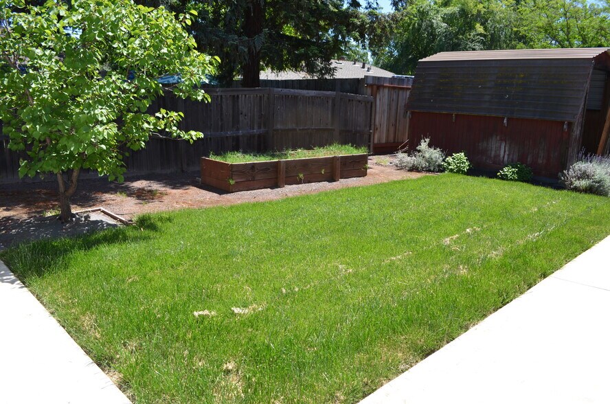 Backyard - 2355 Geraldine Dr