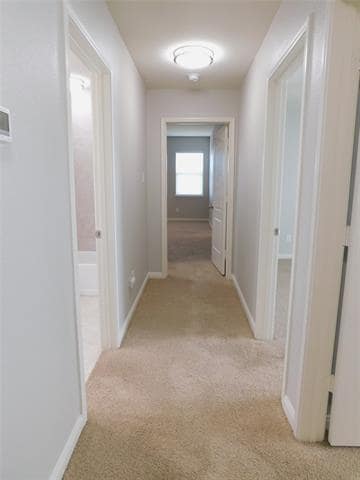 Building Photo - 4612 Shy Creek Ln