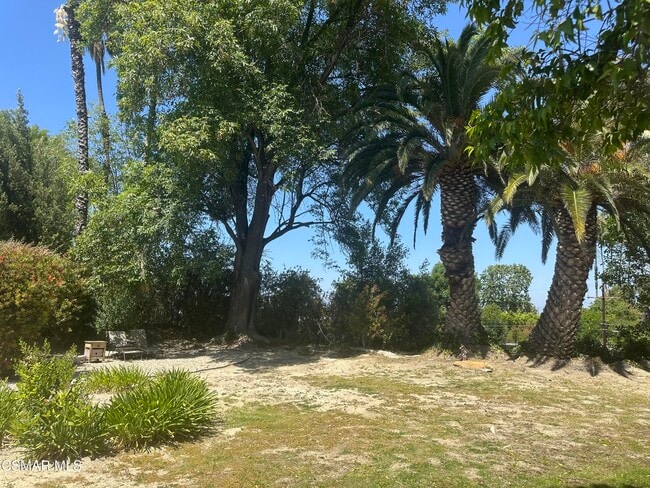 Building Photo - 5708 Wilhelmina Ave
