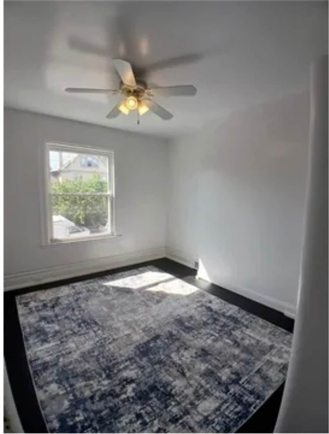 Building Photo - 1521 Alton St