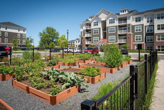 Building Photo - The Elms at Shannon's Glen