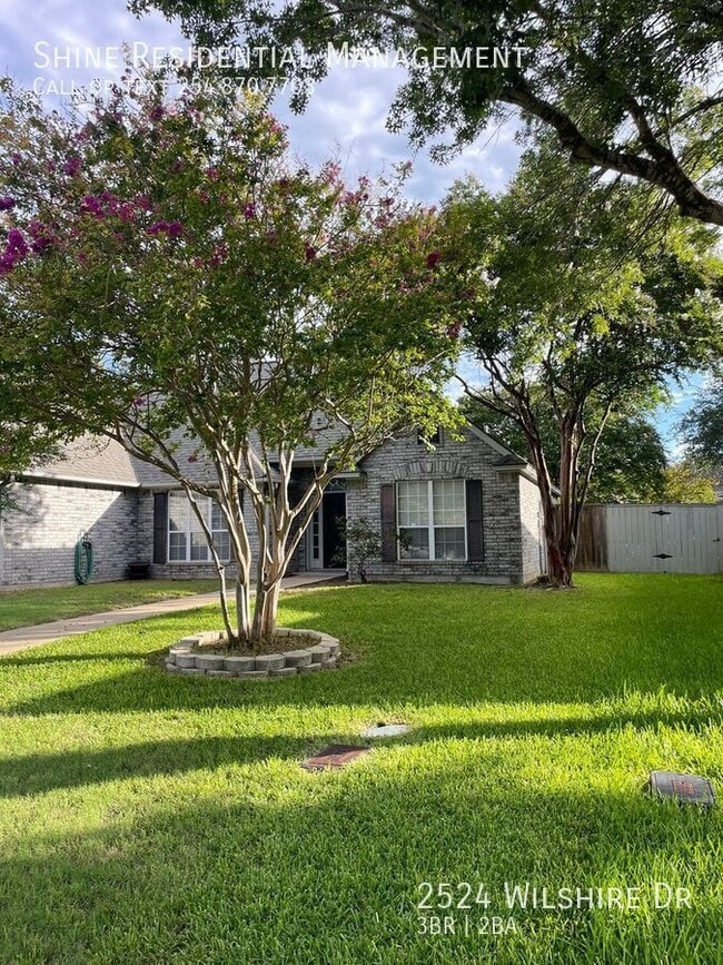 Building Photo - 2524 Wilshire Dr