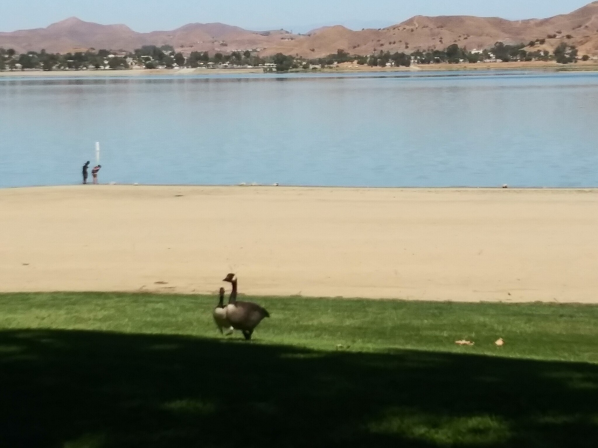 Building Photo - 32942 Perret Blvd