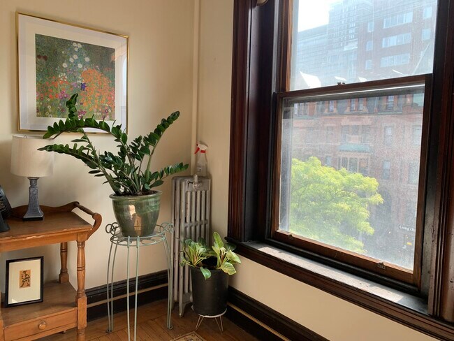 Building Photo - 273 Newbury St