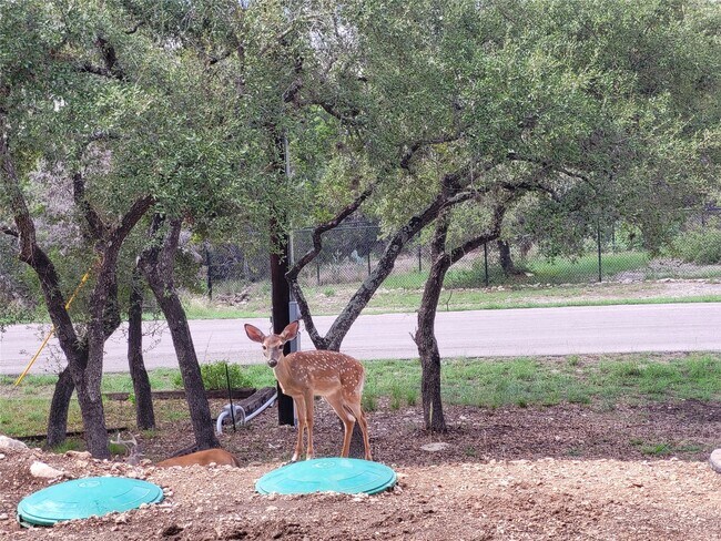 Building Photo - 1526 Lakeside Dr W