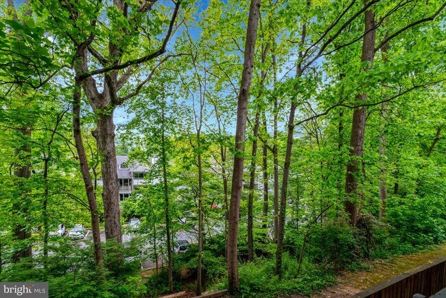Building Photo - 7717 Donnybrook Ct