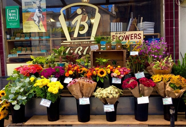 Building Photo - 34 Abbey St