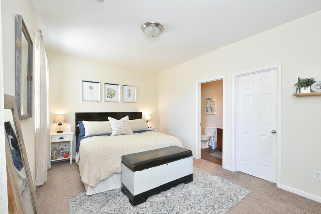 Building Photo - 2537 Sun Seeker Ct