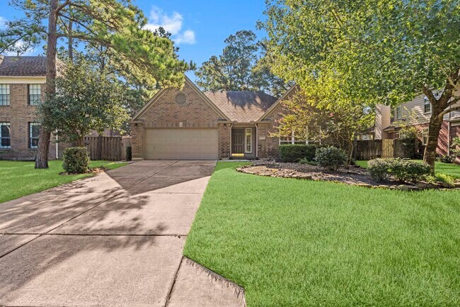 Primary Photo - 19 E Summer Storm Cir