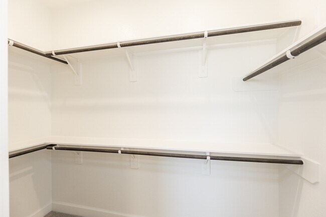 Building Photo - 2922 Sunrise Fld Ln