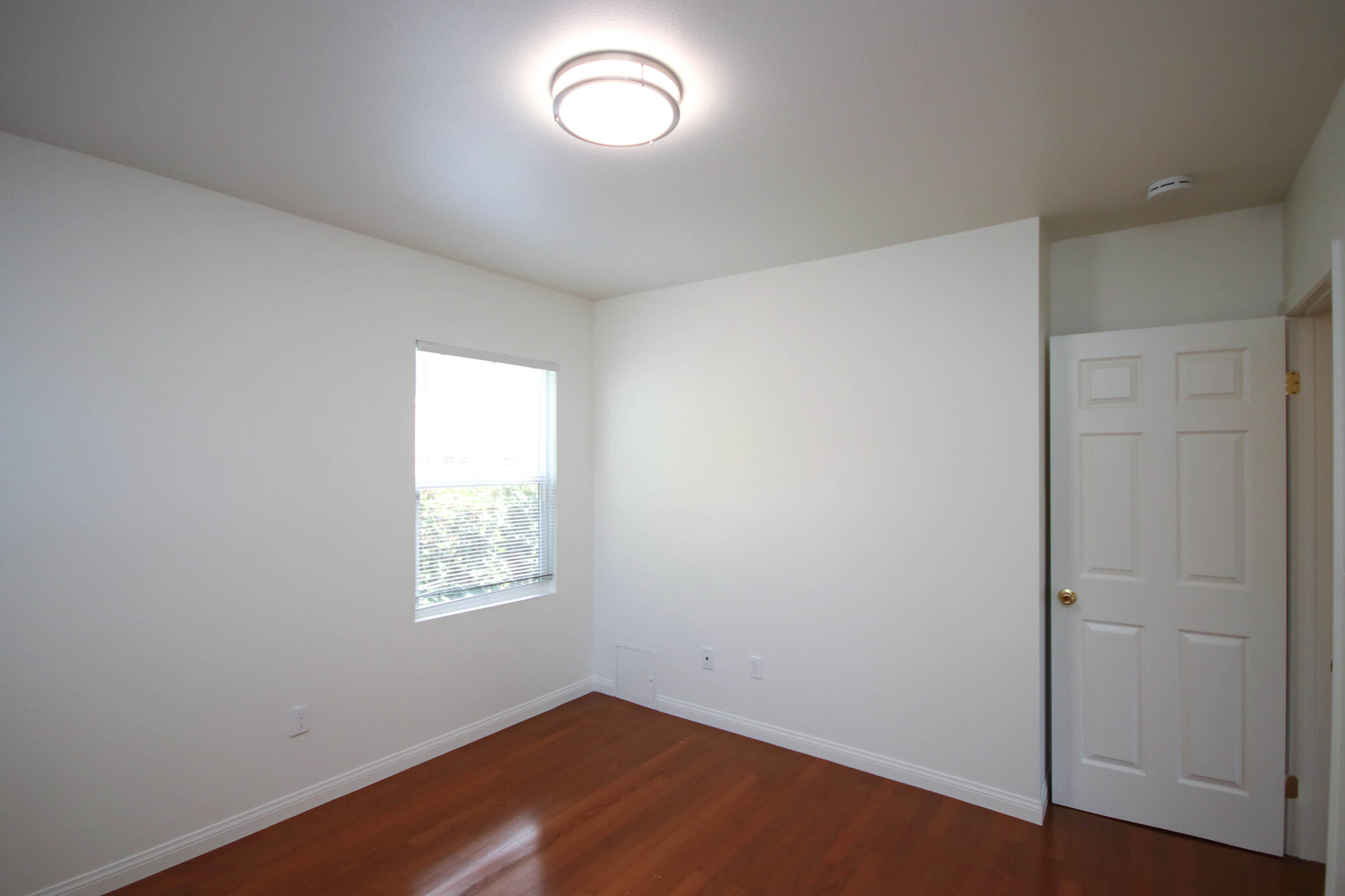 Building Photo - 3148 Abella St