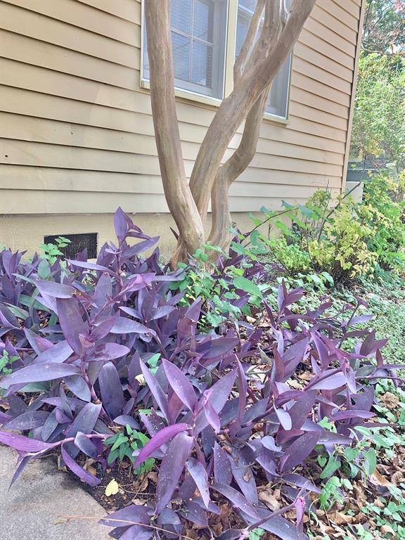 Building Photo - 1505 Ruth Ave