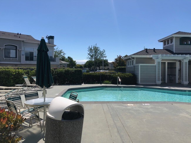 Pool - 563 Shoal Cir